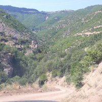 Pırnallı AG